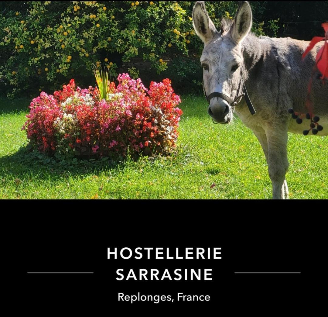 Hostellerie Sarrasine - Macon Est Replonges Экстерьер фото